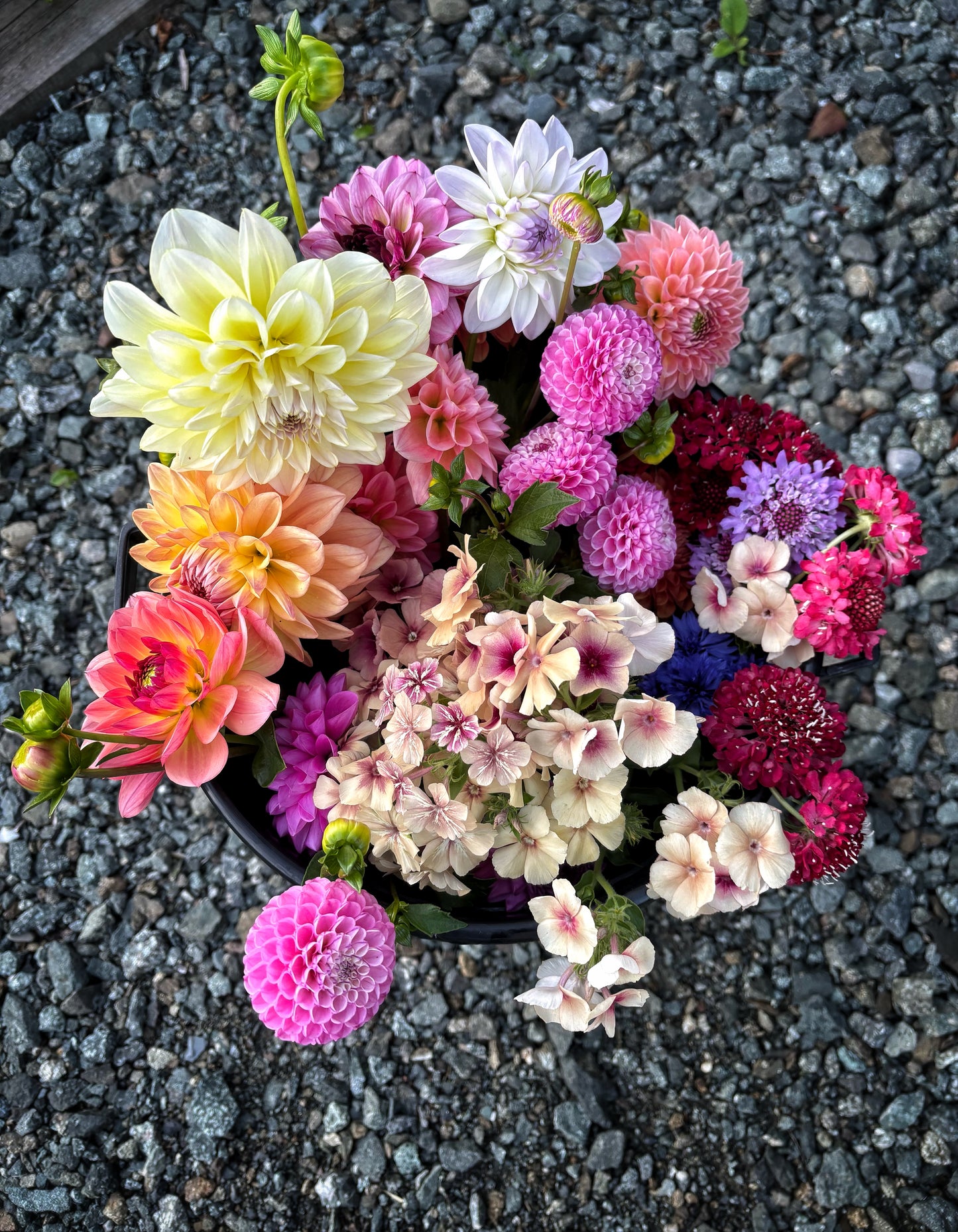 Bucket of DIY Wedding Flowers
