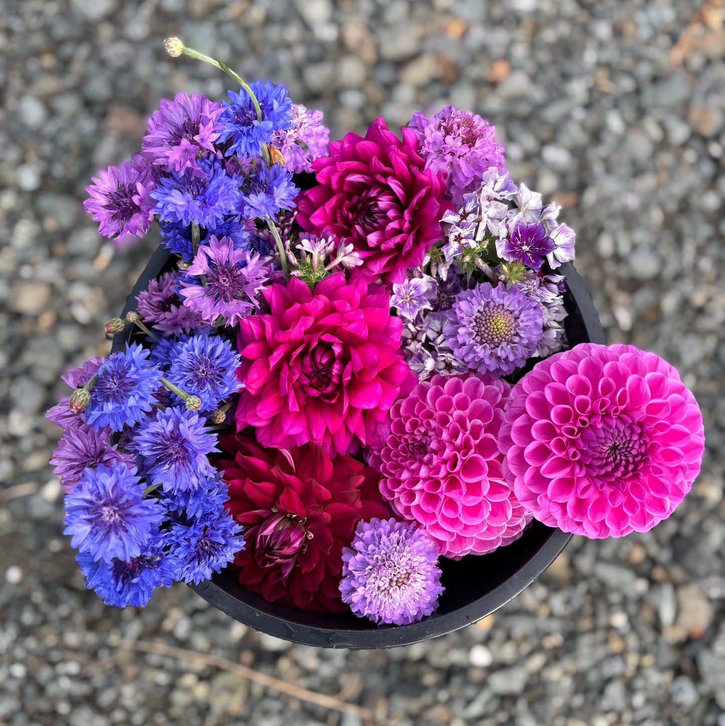 Bucket of DIY Wedding Flowers