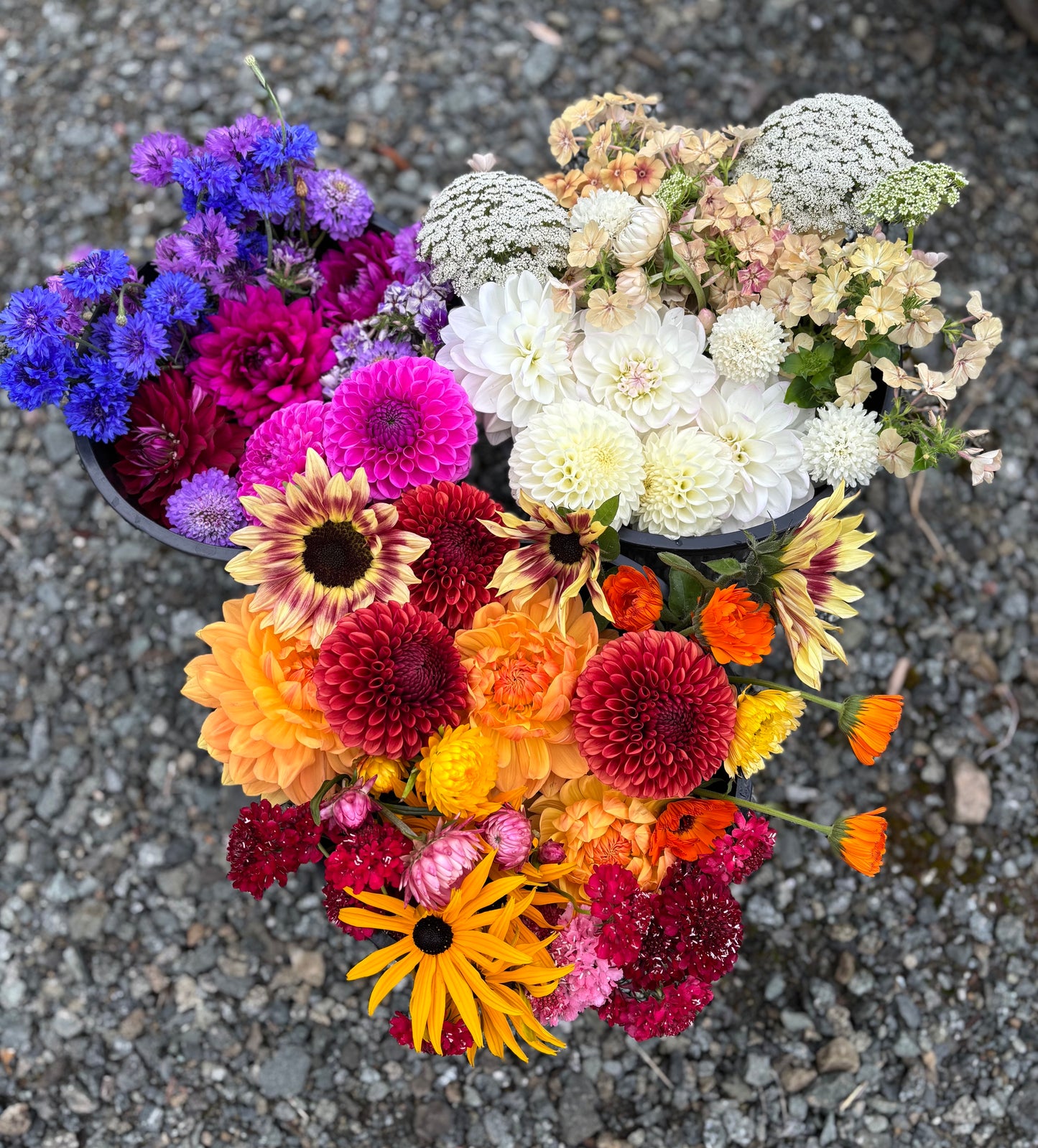 Bucket of DIY Wedding Flowers