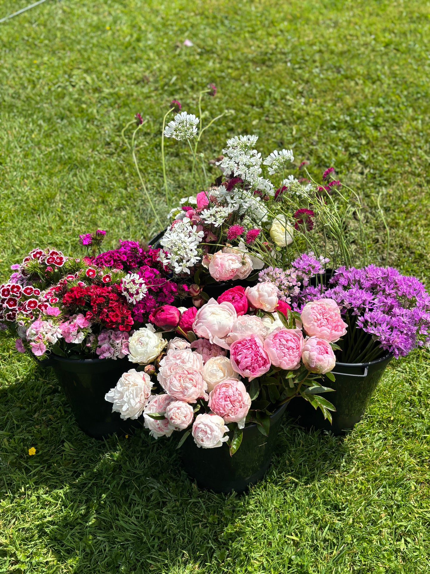 Bucket of DIY Wedding Flowers